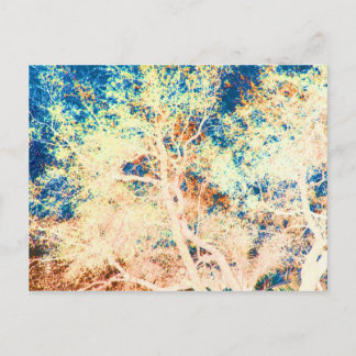 Cartão Postal Abstrato de árvore cor de laranja e fundo azul