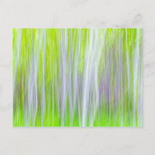 Cartão Postal Abstrato de Árvores Aspen Yakima River Trail, WA