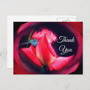 Cartão Postal Abstrato Floral Rosa Rosebud Obrigado Cartão-Posta