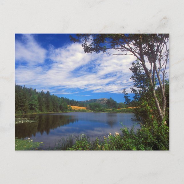 Cartão Postal Acadia Long Pond View (Frente)
