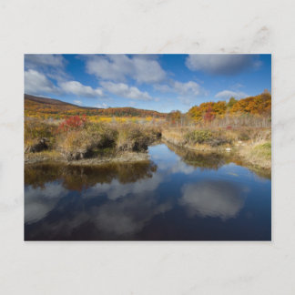 Cartão Postal Acadia NP: Cores de outono, reflexões