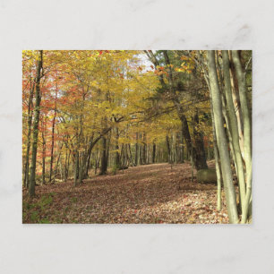 Cartão Postal Ação de Graças da Colheita de outono