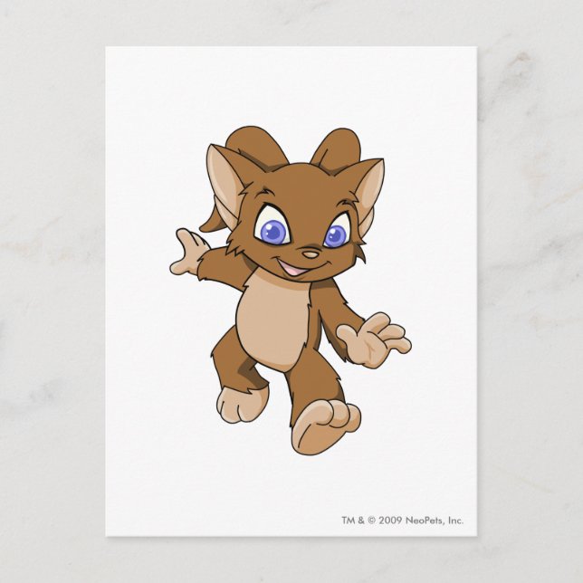 Cartão Postal Acara Brown (Frente)