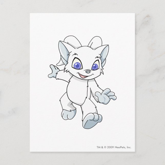 Cartão Postal Acara White (Frente)