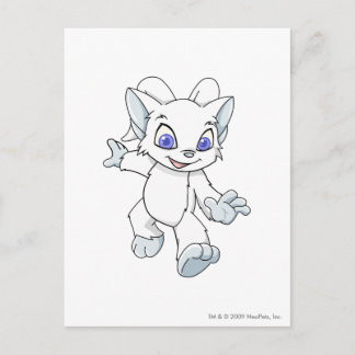Cartão Postal Acara White