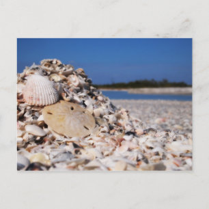 Cartão Postal Acasalamento