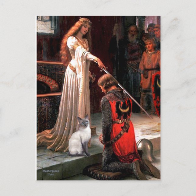 Cartão Postal Accolade - Blue Point Siamese cat (Frente)