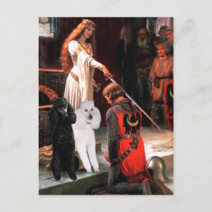 Cartão Postal Accolade - Poodle (DUAS Norma)