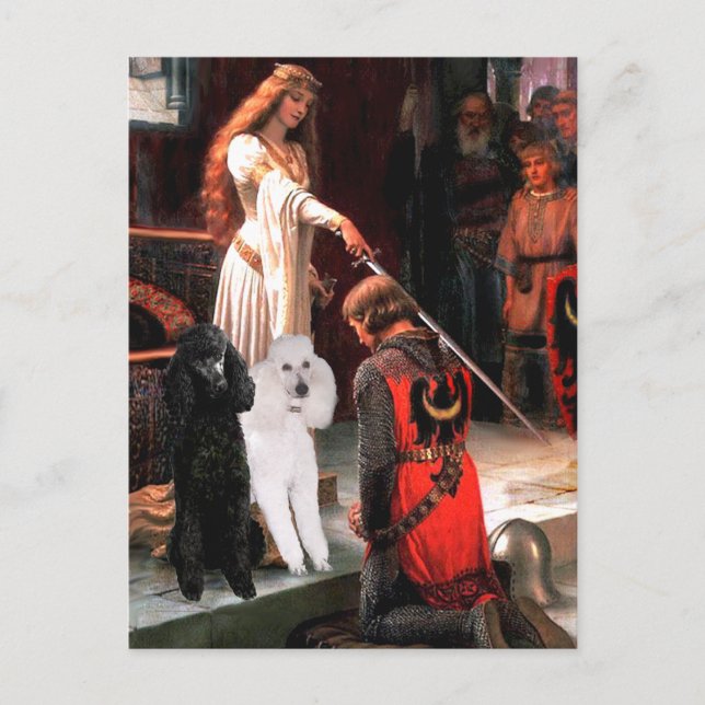 Cartão Postal Accolade - Poodle (DUAS Norma) (Frente)