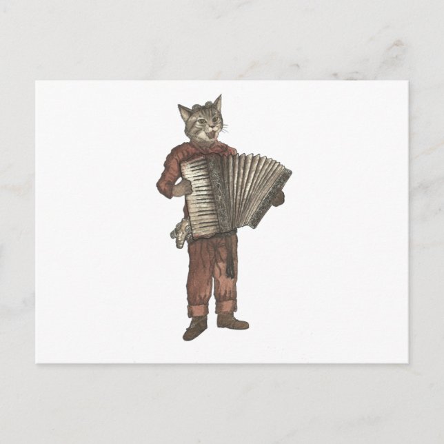 Cartão Postal Accordion Cat (Frente)