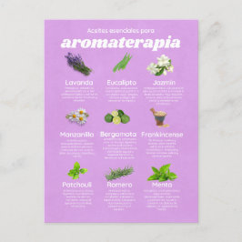 Cartão Postal Aceites esenciales aromaterapia español lavanda