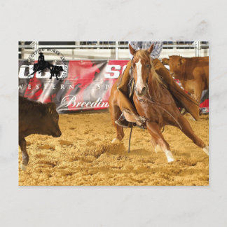 Cartão Postal Acessórios Cabernet CHA Carte Postale 5