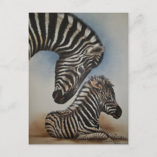 Cartão Postal Acessórios de imagem de espelho (zebra)
