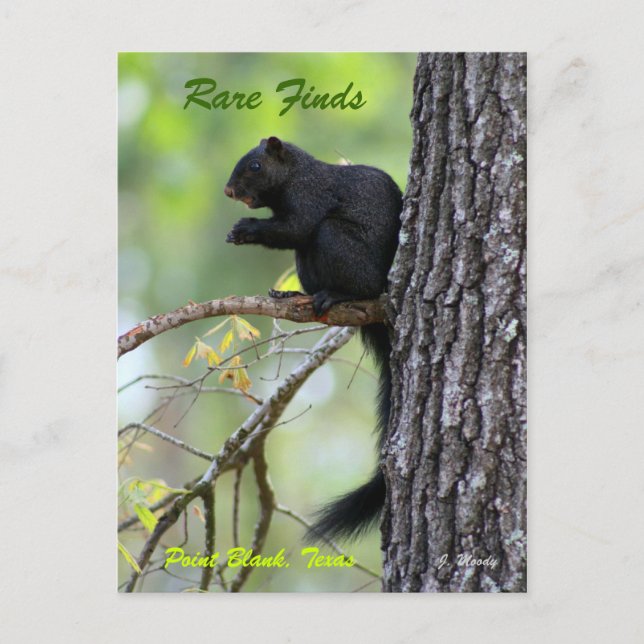 Cartão Postal Achados raros (Frente)