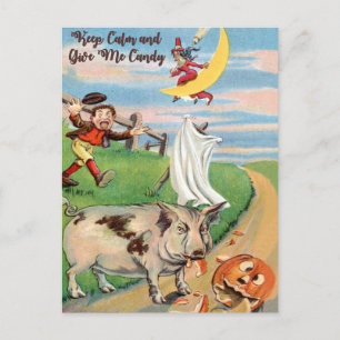 Cartão Postal Acidente de abóbora com porcos