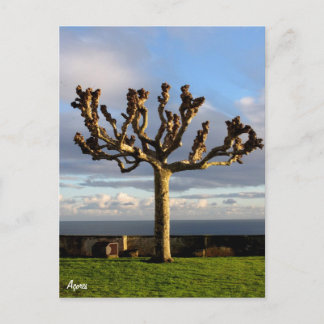 Cartão Postal Açores Postcard-Ermida da mae de Deus