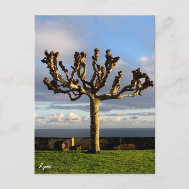 Cartão Postal Açores Postcard-Ermida da mae de Deus (Frente)