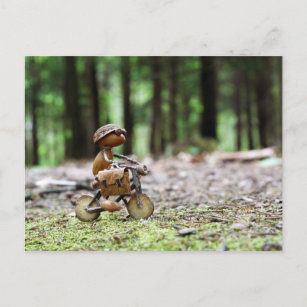 Cartão Postal Acorn elf andando de bicicleta até o escritório