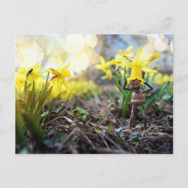 Cartão Postal Acorn elf com primavera de flor daffodil (Frente)