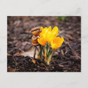 Cartão Postal Acorn elf com primavera de flor de croco amarelo