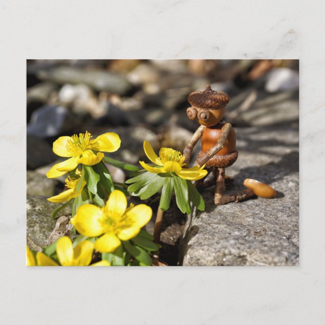 Cartão Postal Acorn elf com primavera de primavera amarelo (Frente)