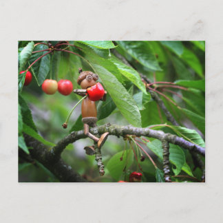 Cartão Postal Acorn elf comendo cerejas no verão