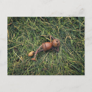 Cartão Postal Acorn elf descansando em feno