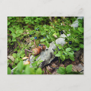 Cartão Postal Acorn elf preguiçoso comendo mirtilos