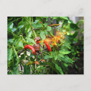 Cartão Postal Acorn elf provou um pimenta picante