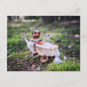 Cartão Postal Acorn elf tomando banho na floresta