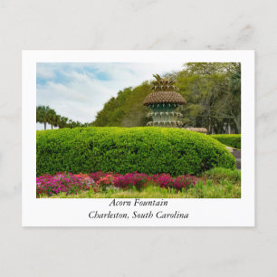 Cartão Postal Acorn Fountain em Charleston Carolina do Sul