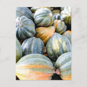 Cartão Postal Acorn Squash