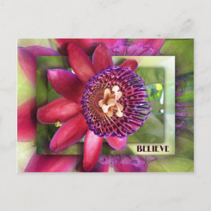 Cartão Postal Acredite