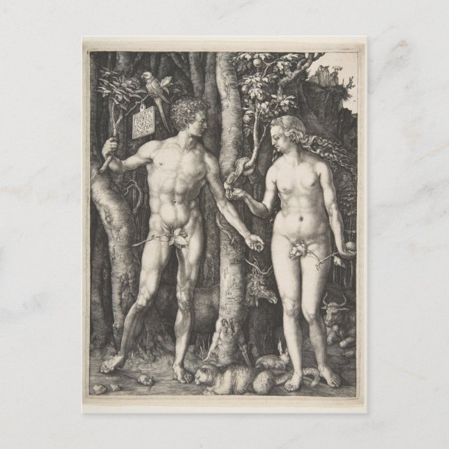 Cartão Postal Adam e Eve, 1504 (Frente)