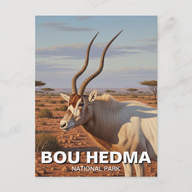 Cartão Postal Addax Antelope no Parque Nacional de Bou Hedma, Tu (Frente)