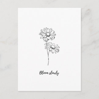 Cartão Postal Adesivo Floral de Margarida Minimalista Bloom Slow