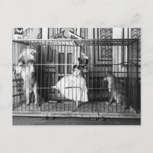 Cartão Postal Adgie e seu circo treinado Lions Vintage