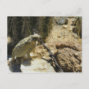 Cartão Postal ADICIONE SEU PRÓPRIO TEXTO à posição de Godzilla