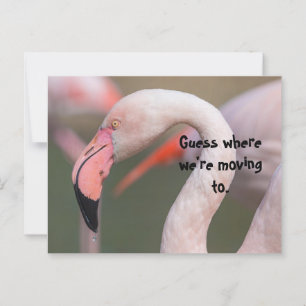 CARTÃO POSTAL ADIVINHA ONDE PLACA DE RELOCALIZAÇÃO