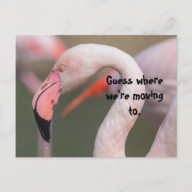 CARTÃO POSTAL ADIVINHA ONDE PLACA DE RELOCALIZAÇÃO (Frente)