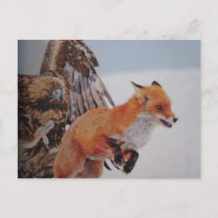 Cartão Postal Adler-Fuchs-Kampf- Postkarte