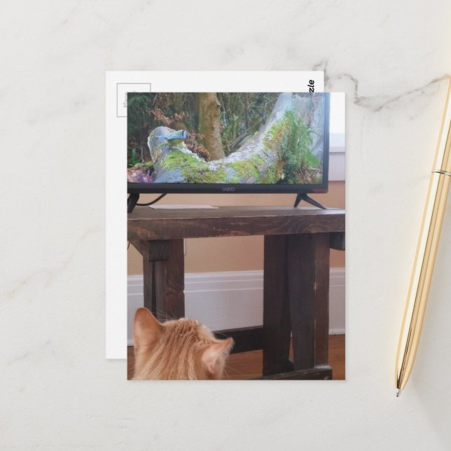 Cartão Postal adorable ginger kitty watching TV (Frente/Verso In Situ)
