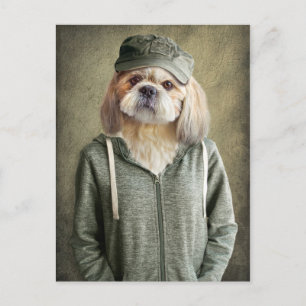 Cartão Postal Adorable Shih Tzu Wearing a Cap and Hoodie