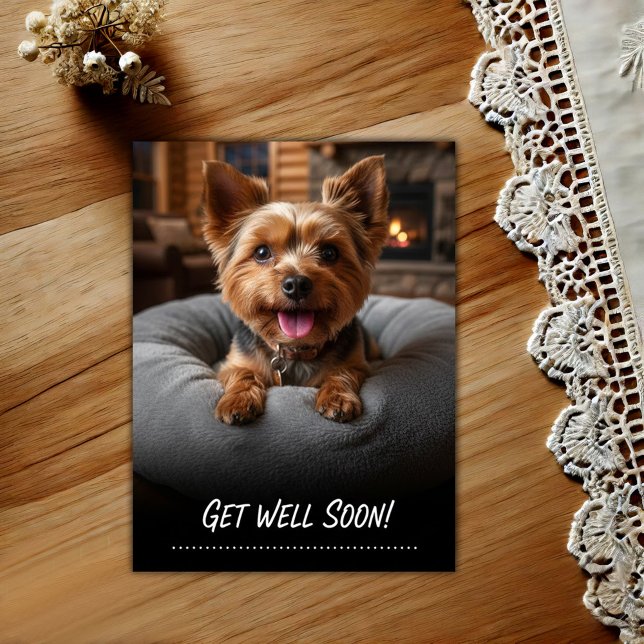 Cartão Postal Adorable Yorkshire Terrier Get Well Postcard (Criador carregado)