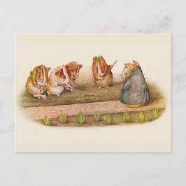 Cartão Postal Adoramos o nosso Pequeno Porco de Jardim