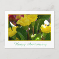 Adorável aniversário das flores amarelas do jardim