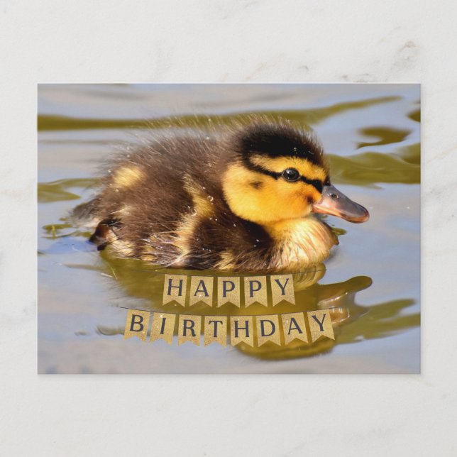 Cartão Postal Adorável Bebê Patinho no Lago Feliz Aniversário  (Frente)