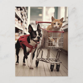 Cartão Postal Adorável Boston Terrier e um Ginger Cat Comprando