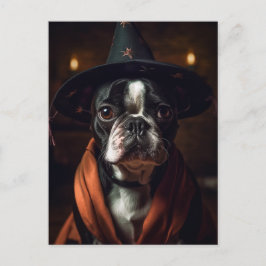 Cartão Postal Adorável Boston Terrier Halloween
