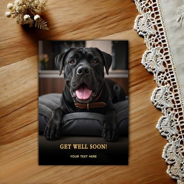Cartão Postal Adorável Cane Corso Melhoras  (Criador carregado)
